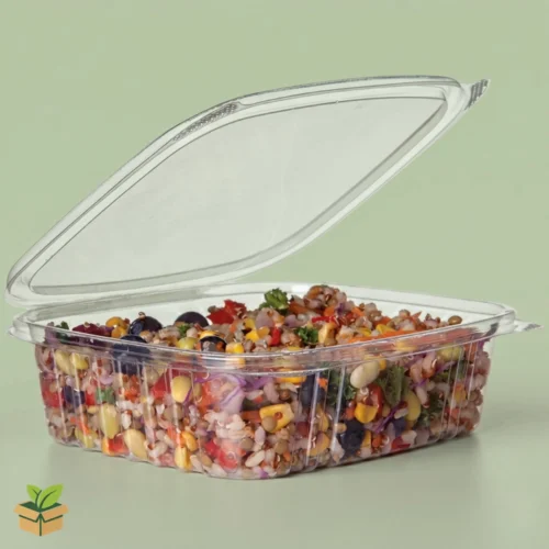 Hinged Deli Box - Clear Plastic Container with Fresh Salad Inside