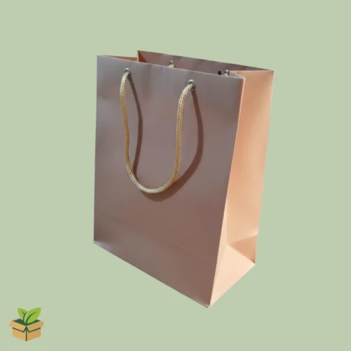 7×4×9 Inch Kraft Goodie Bag with Rope Handles