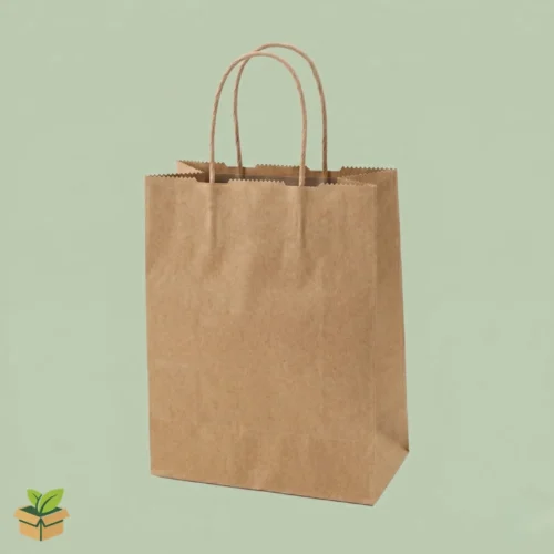 Kraft Paper Bag with Twisted Rope Handle – Eco-Friendly Brown Shopping Bag