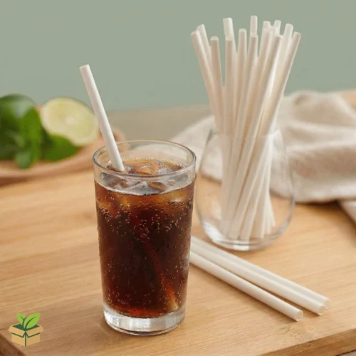 6mm White Paper Straws - Biodegradable Eco-Friendly Drinking Alternative