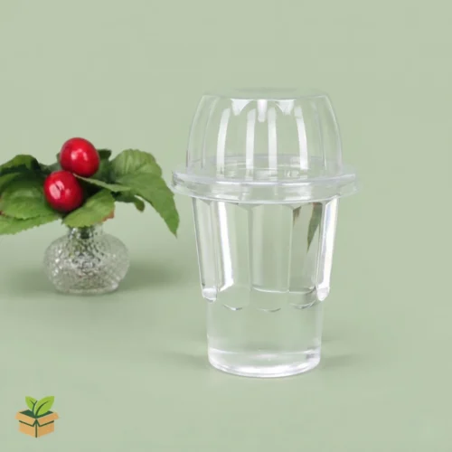 Disposable Clear Ice Cream Cup with Dome Lid – Eco Friendly Dessert Packaging
