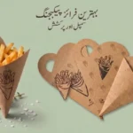 Kraft paper fries cone with ketchup holder — eco-friendly fries packaging Pakistan