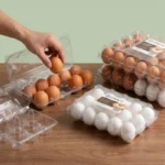 AMS Transparent Plastic Egg Tray – 6 & 12 Cavity Egg Holder | EcoPackaging.pk