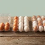 Egg Tray Sizes: 6, 12 & 30 Egg Transparent Plastic Trays