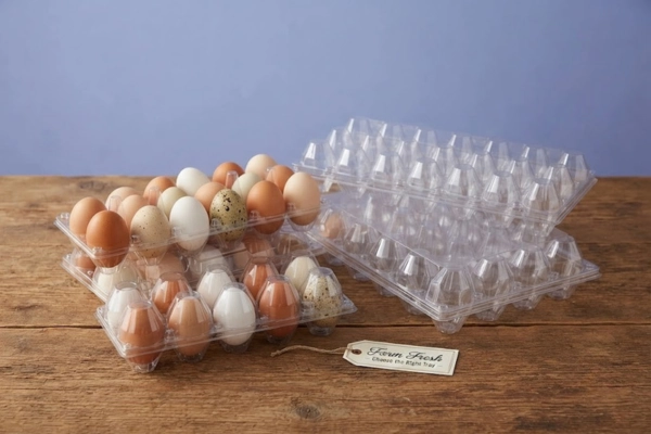 How to Choose the Right Egg Tray for Your Farm (Complete Buyer’s Guide 2026)